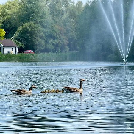 Luxury Kingfisher Lodge, Isis Lake, Within The Cotswold Waterpark Cirencester Buitenkant foto