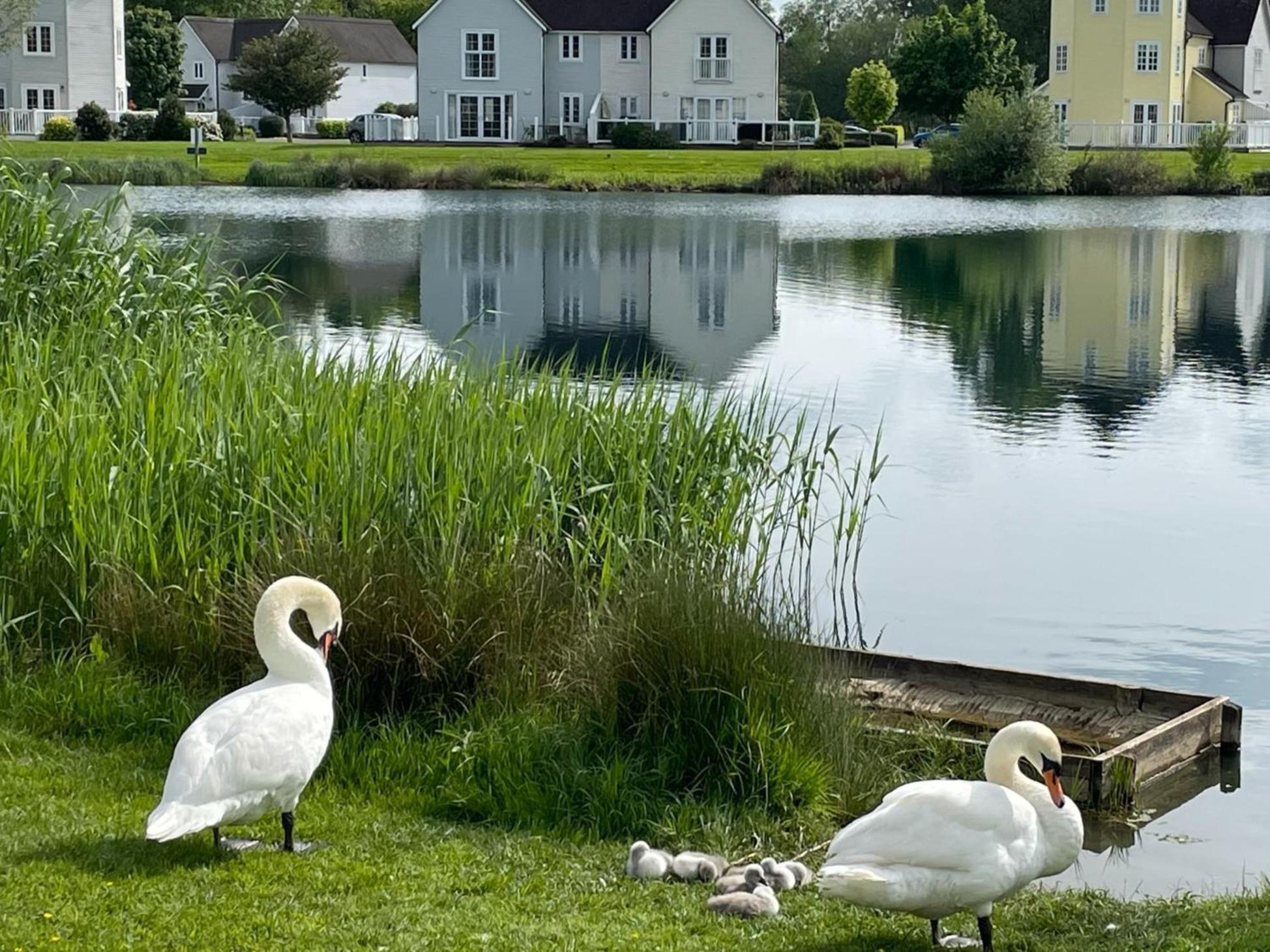 Luxury Kingfisher Lodge, Isis Lake, Within The Cotswold Waterpark Cirencester Buitenkant foto