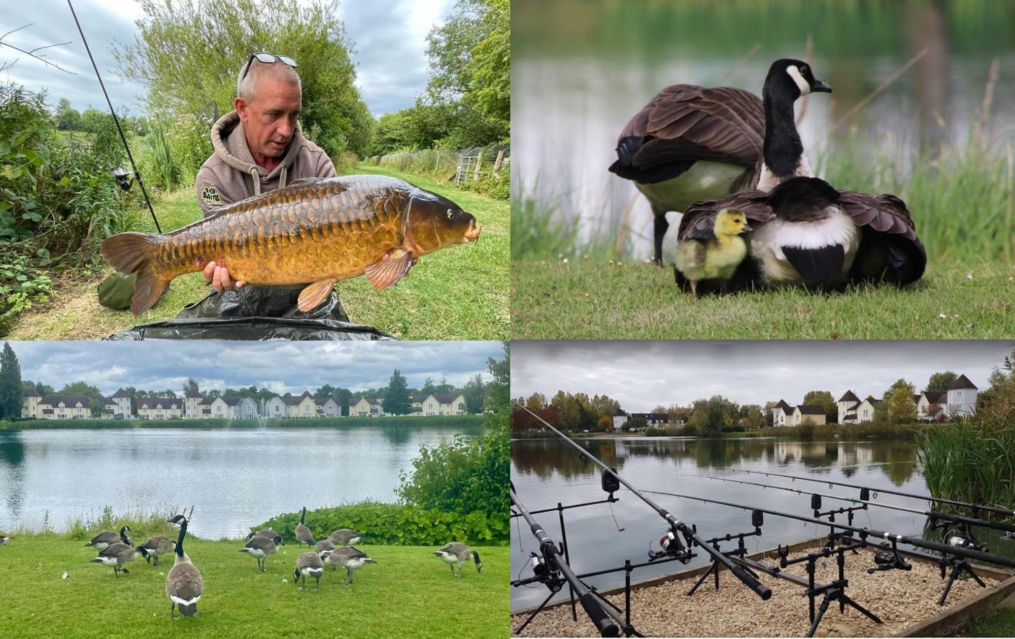 Luxury Kingfisher Lodge, Isis Lake, Within The Cotswold Waterpark Cirencester Buitenkant foto