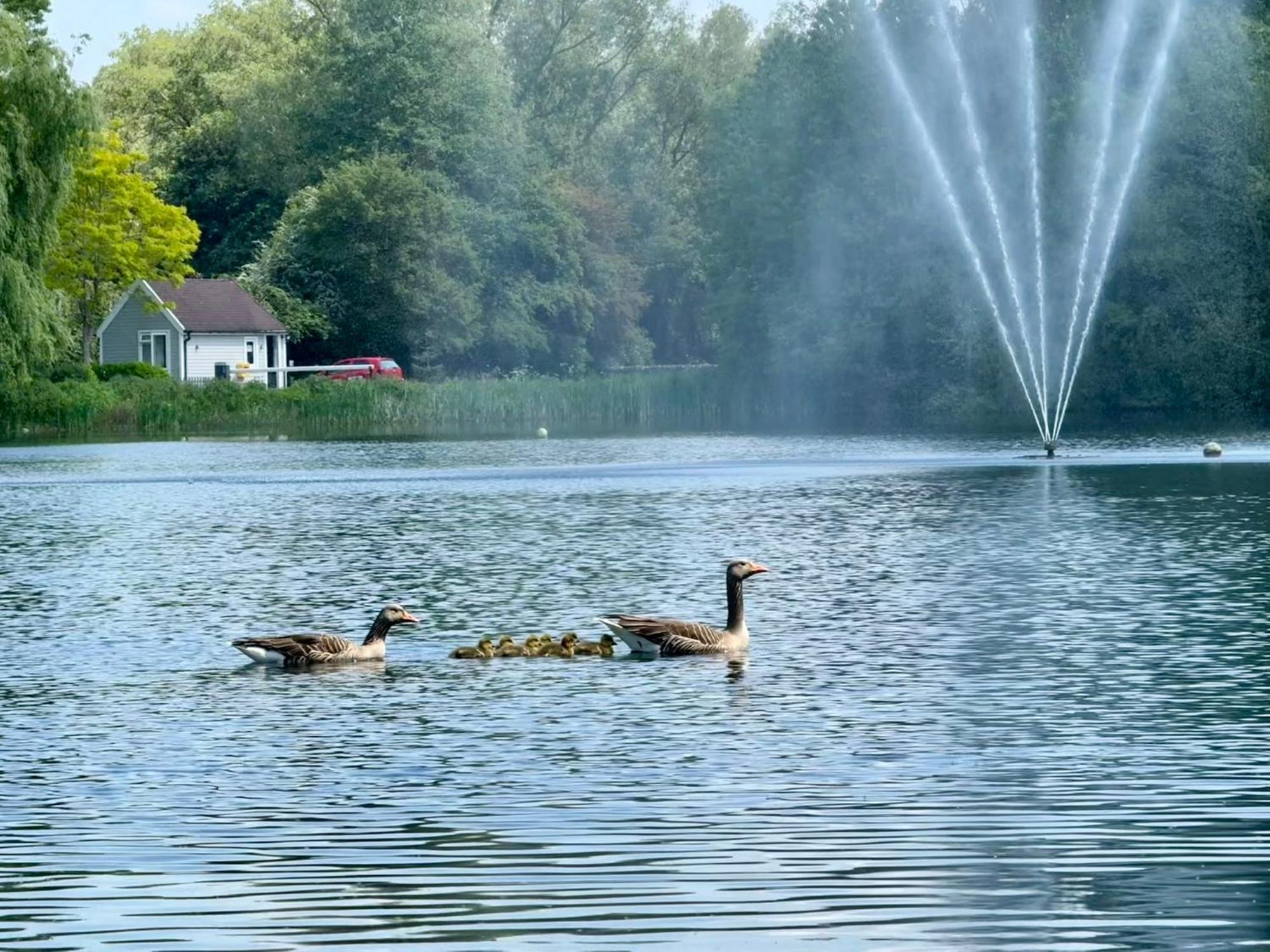 Luxury Kingfisher Lodge, Isis Lake, Within The Cotswold Waterpark Cirencester Buitenkant foto